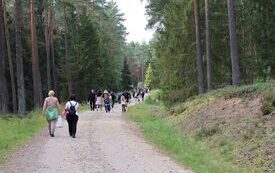 IMG_3243-1024x683
