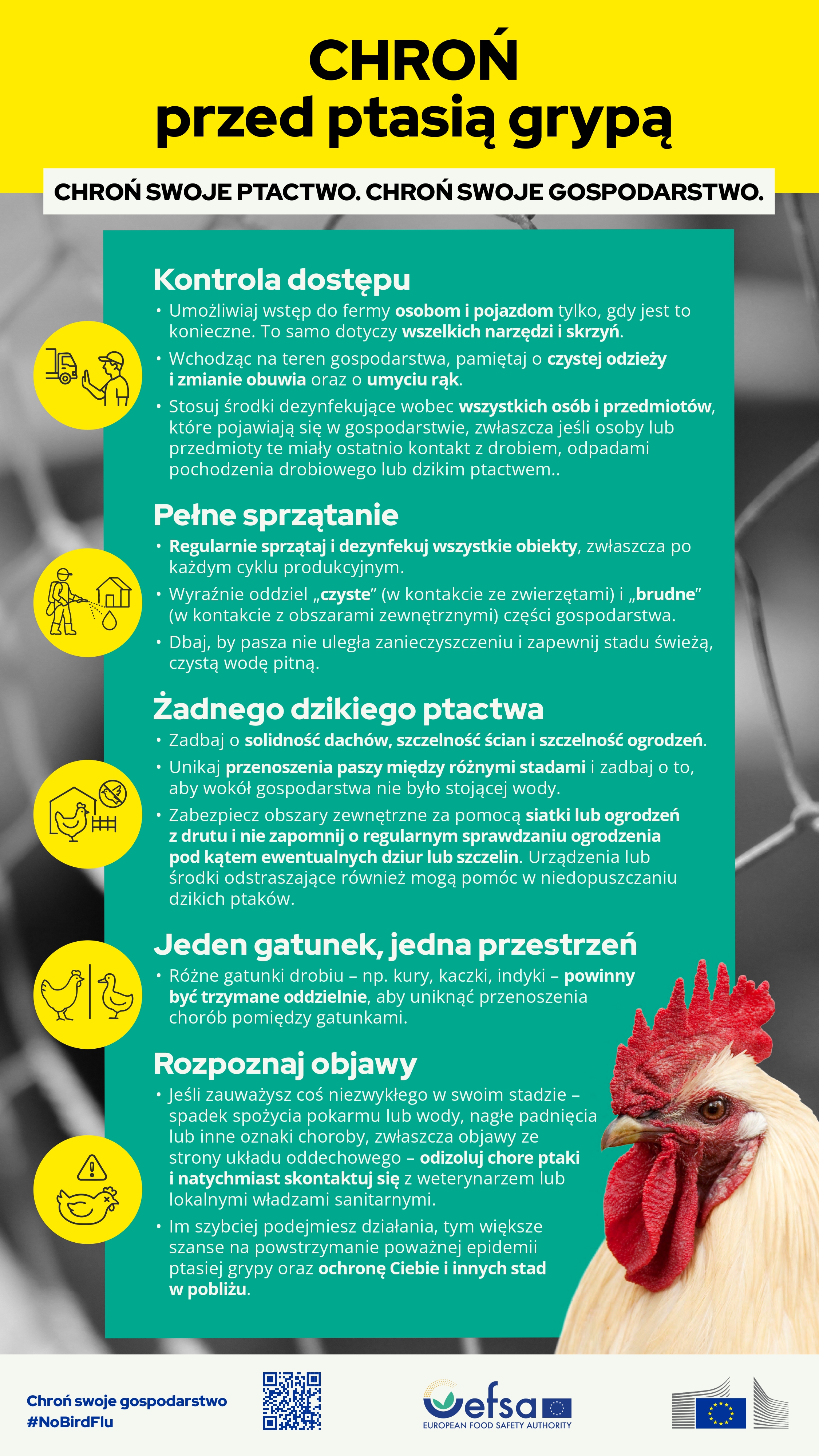 ptasia grypa