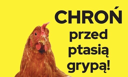 ptasia grypa