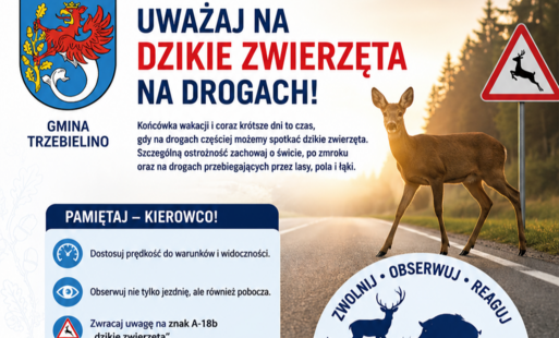 Uwaga na dzikie zwierzęta!
